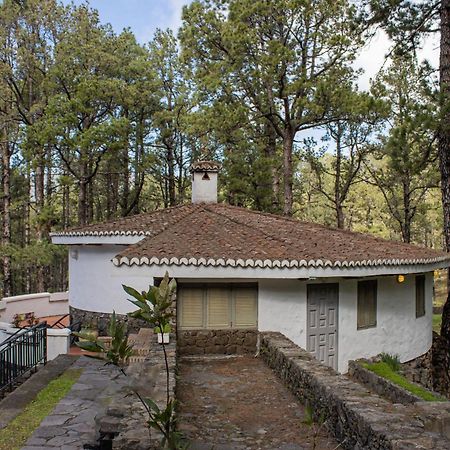 Vivienda Vacacional Finca La Redonda El Paso Extérieur photo